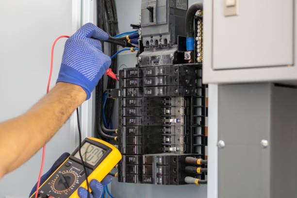 Best Electrical Panel Upgrades  in Crystal Lake, FL